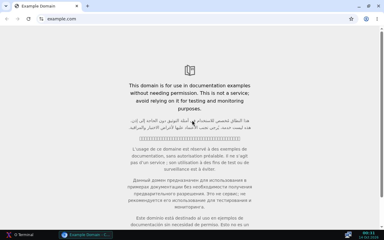 O Browser Chromium screenshot